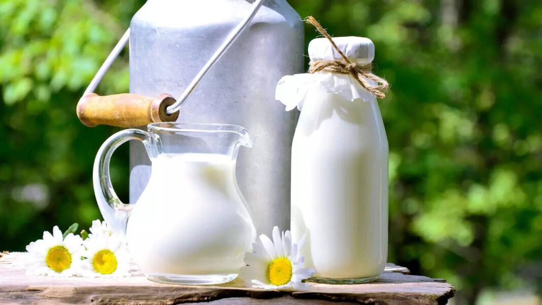 why-1-cup-of-cow-milk-is-a-must-for-everyone