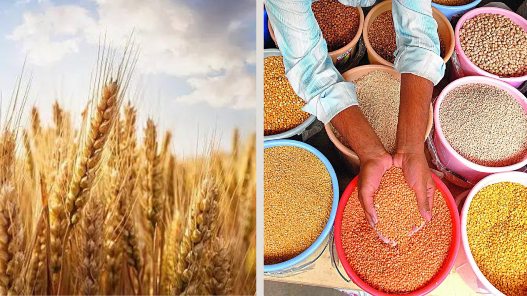 centre-approves-msp-for-6-rabi-crops-for-marketing-season-2025-26;-wheat-now-rs-2,425-per-quintal