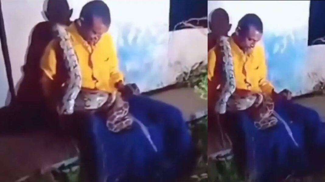 viral:-a-giant-python-wraps-around-a-drunken-man