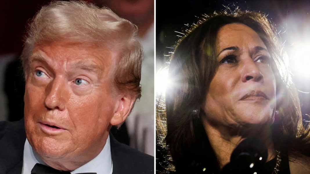 kamala-harris-vs-donald-trump:-what-are-their-views-on-the-us.-schooling-system?