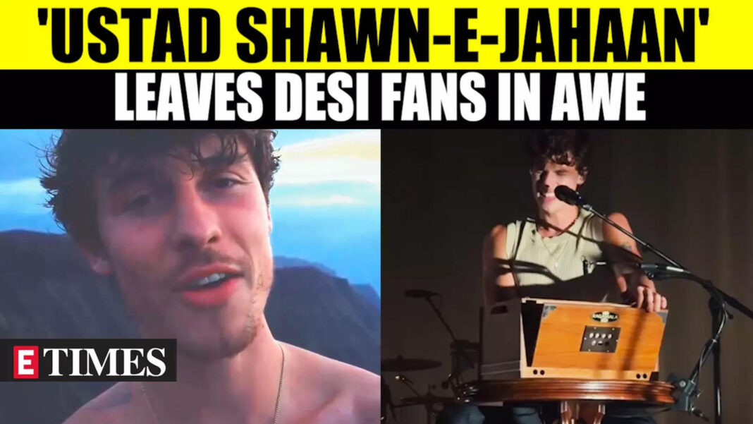 shawn-mendes-delivers-magical-harmonium-performance,-fans-shower-him-with-praise