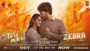 Zebra | Song – Teri Meri (Hindi)