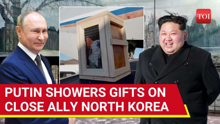 putin-sends-‘special-plane’-to-north-korea;-full-list-of-gifts-for-kim-jong-un-out-|-watch